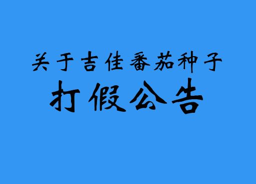 吉佳番茄種子打假公告